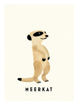 Meerkat Poster och Canvastavla