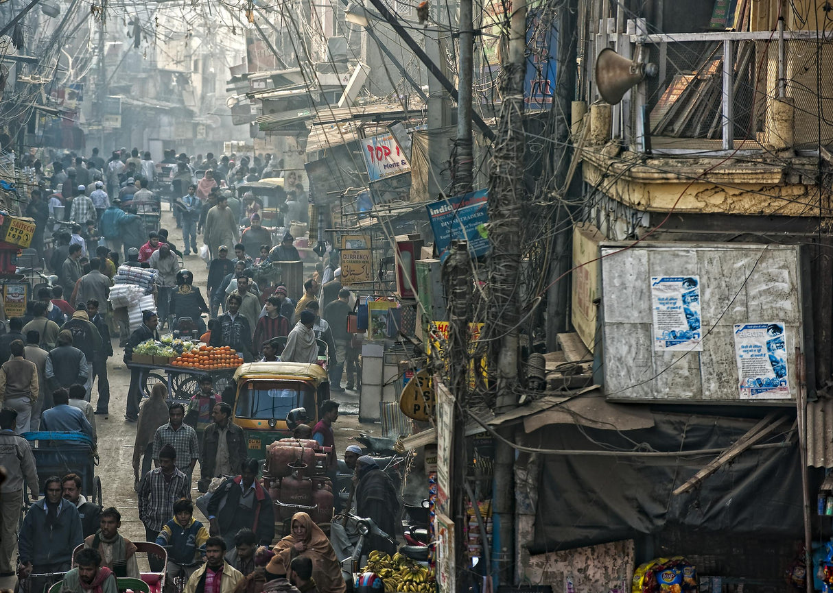 In pursuit of a living Poster och Canvastavla