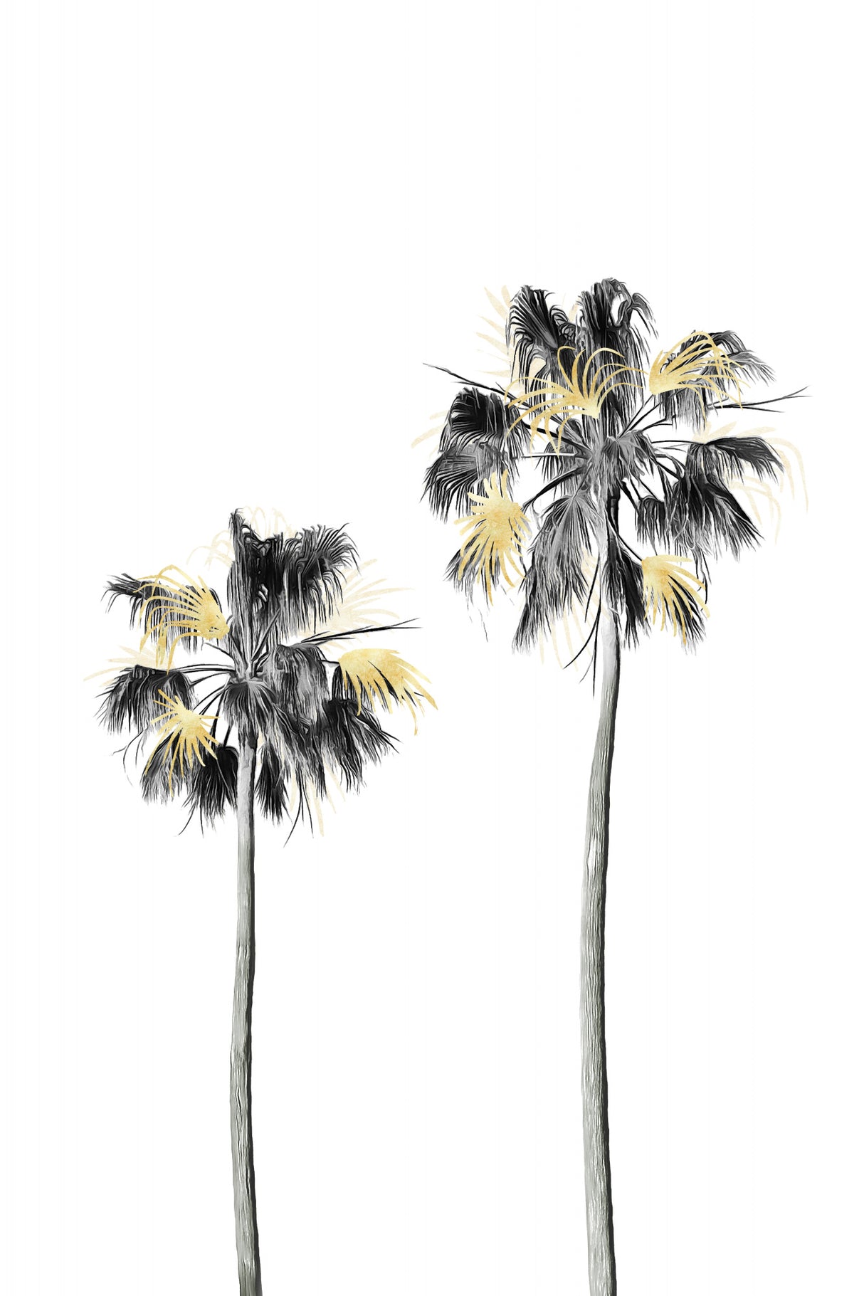 Palm Tree Black, White and Gold 01 Poster och Canvastavla