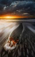 Beached at sunset Poster och Canvastavla