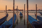Venecian boats Poster och Canvastavla