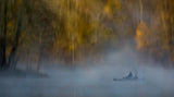 Fishing in Misty Morning Poster och Canvastavla
