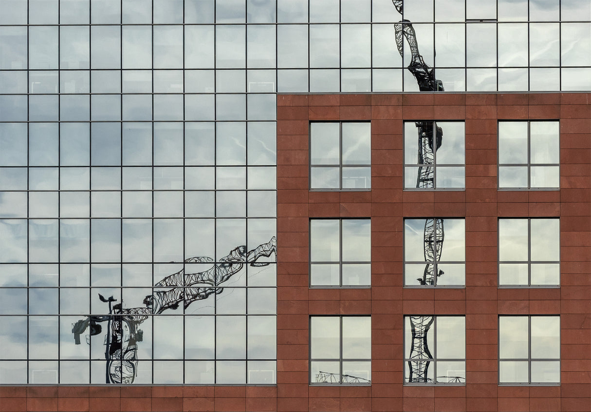 Virtual cranes Poster och Canvastavla