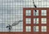 Virtual cranes Poster och Canvastavla