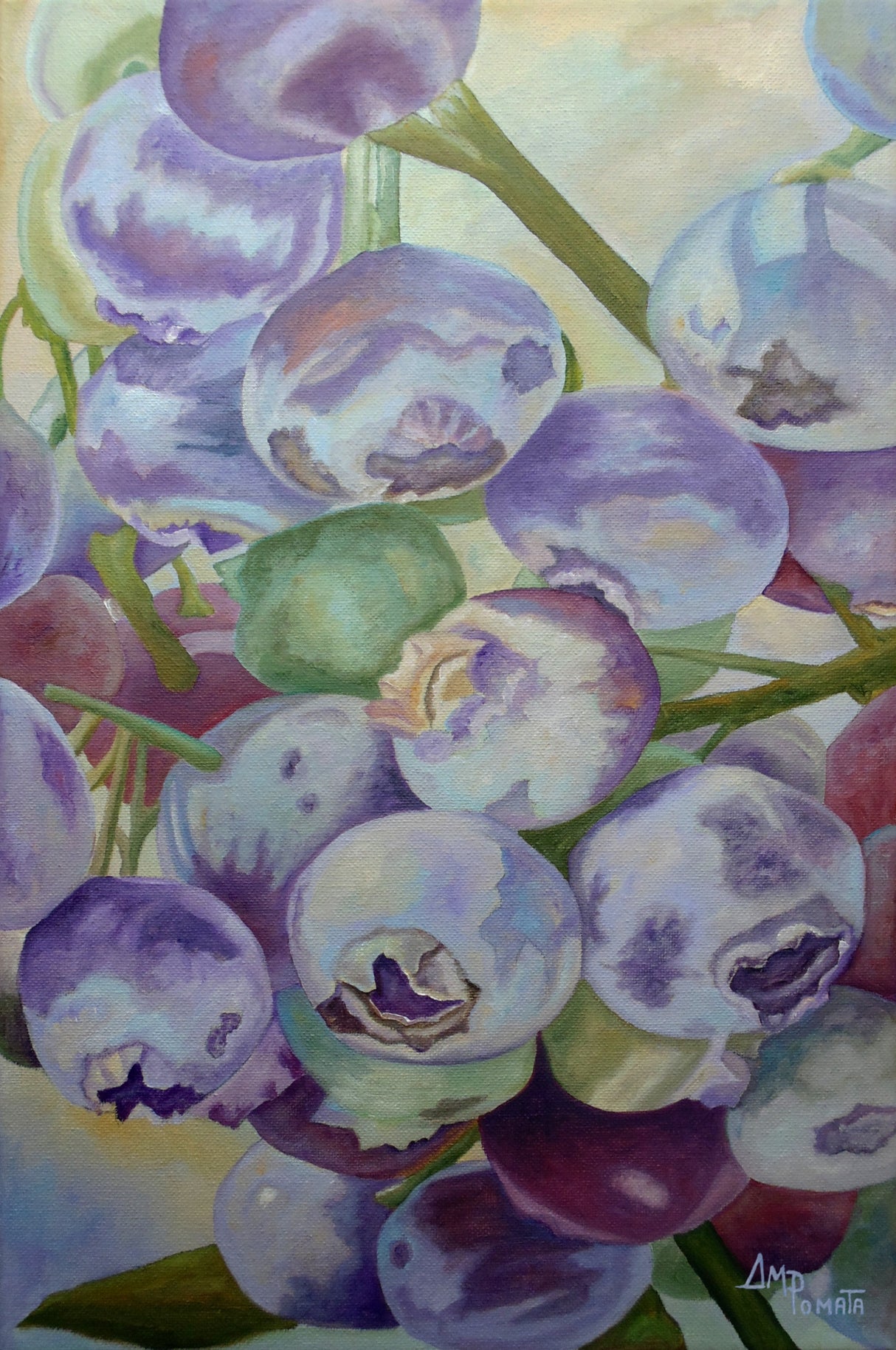 Blueberries Poster och Canvastavla
