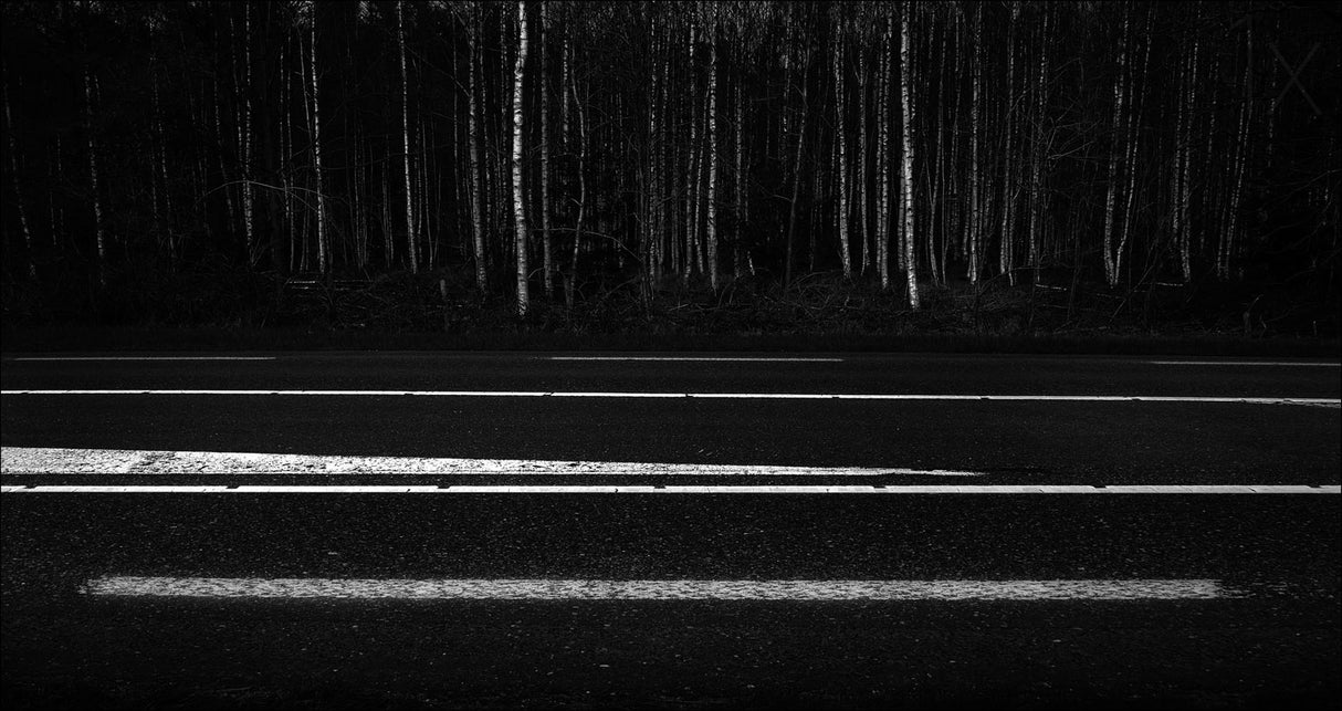 Signals for the traffic # 11 Poster och Canvastavla