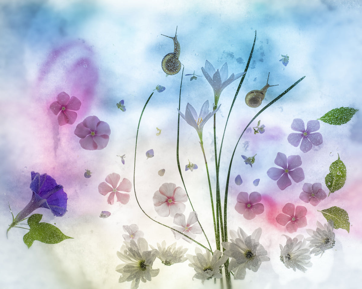 september blue poetry Poster och Canvastavla