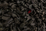 extinction Poster och Canvastavla