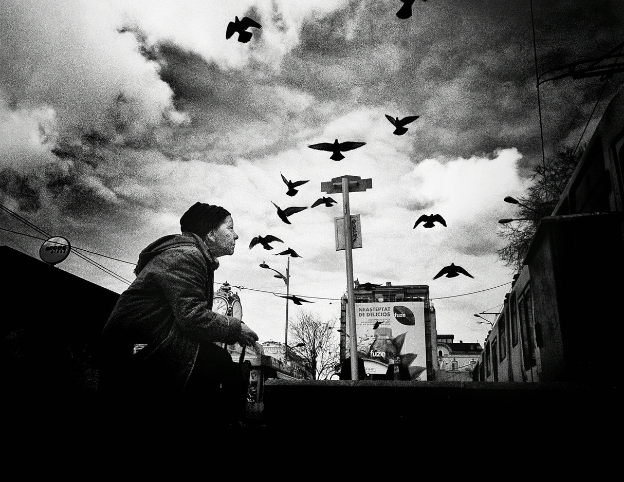 Birds Whisperer Poster och Canvastavla