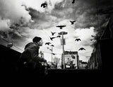 Birds Whisperer Poster och Canvastavla