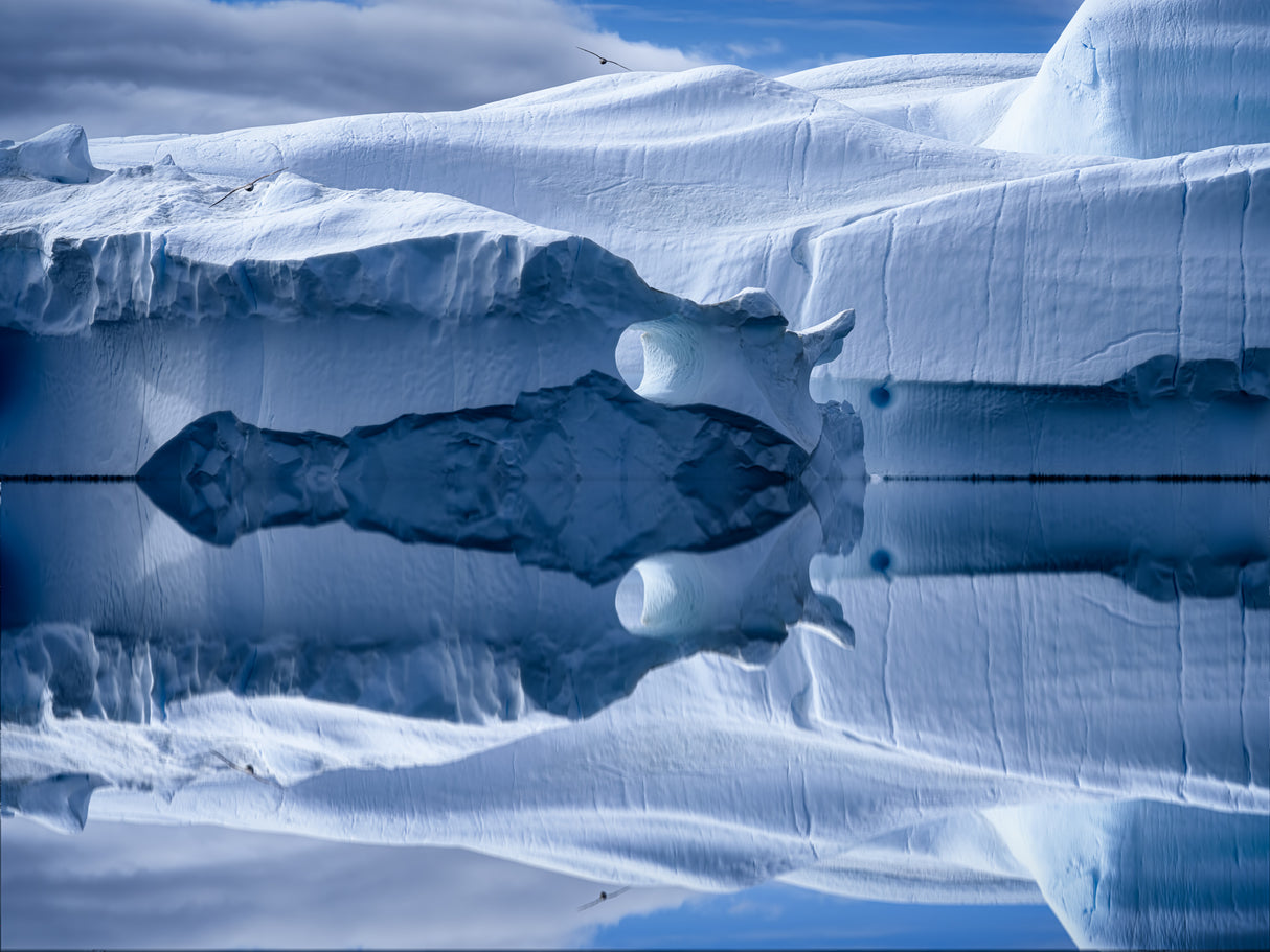 I See A Future Poster och Canvastavla