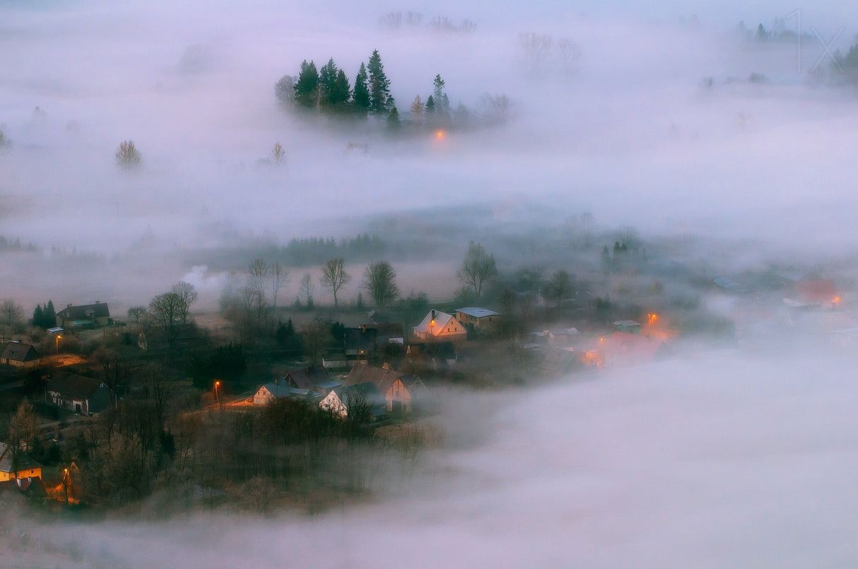 In the Morning Fog Poster och Canvastavla