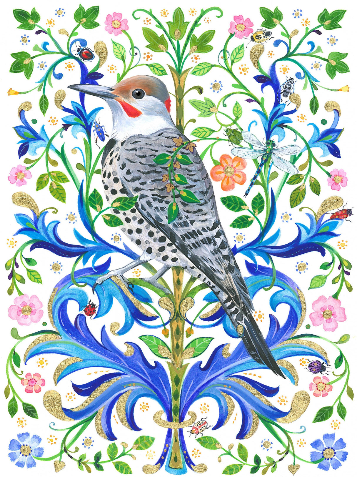 Northern Flicker Poster och Canvastavla