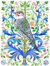 Northern Flicker Poster och Canvastavla