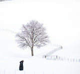 winter Poster och Canvastavla