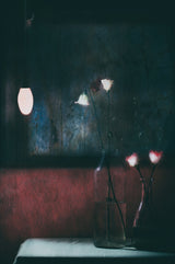 Winter Night and I Think about Spring... Poster och Canvastavla