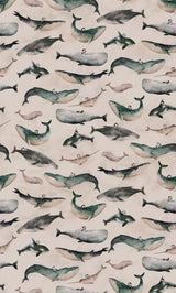 Hl009  Whale Girl   1806mm X 3000mm Poster och Canvastavla