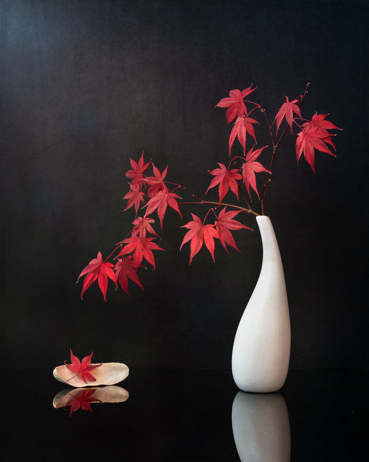 Maple Leaves Poster och Canvastavla