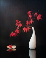 Maple Leaves Poster och Canvastavla