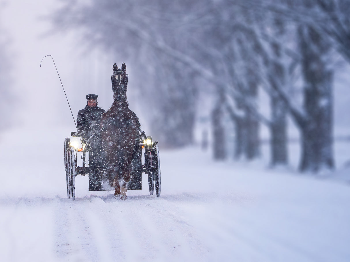 A Coachman in the Snow Poster och Canvastavla