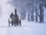 A Coachman in the Snow Poster och Canvastavla