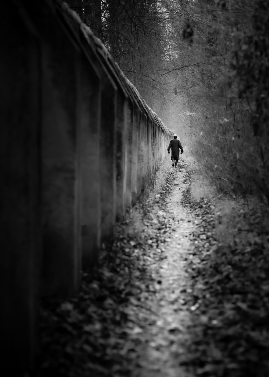 mankind is walking a narrow path Poster och Canvastavla