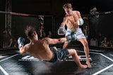 KnockOut Poster och Canvastavla