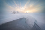 Snow wave Poster och Canvastavla