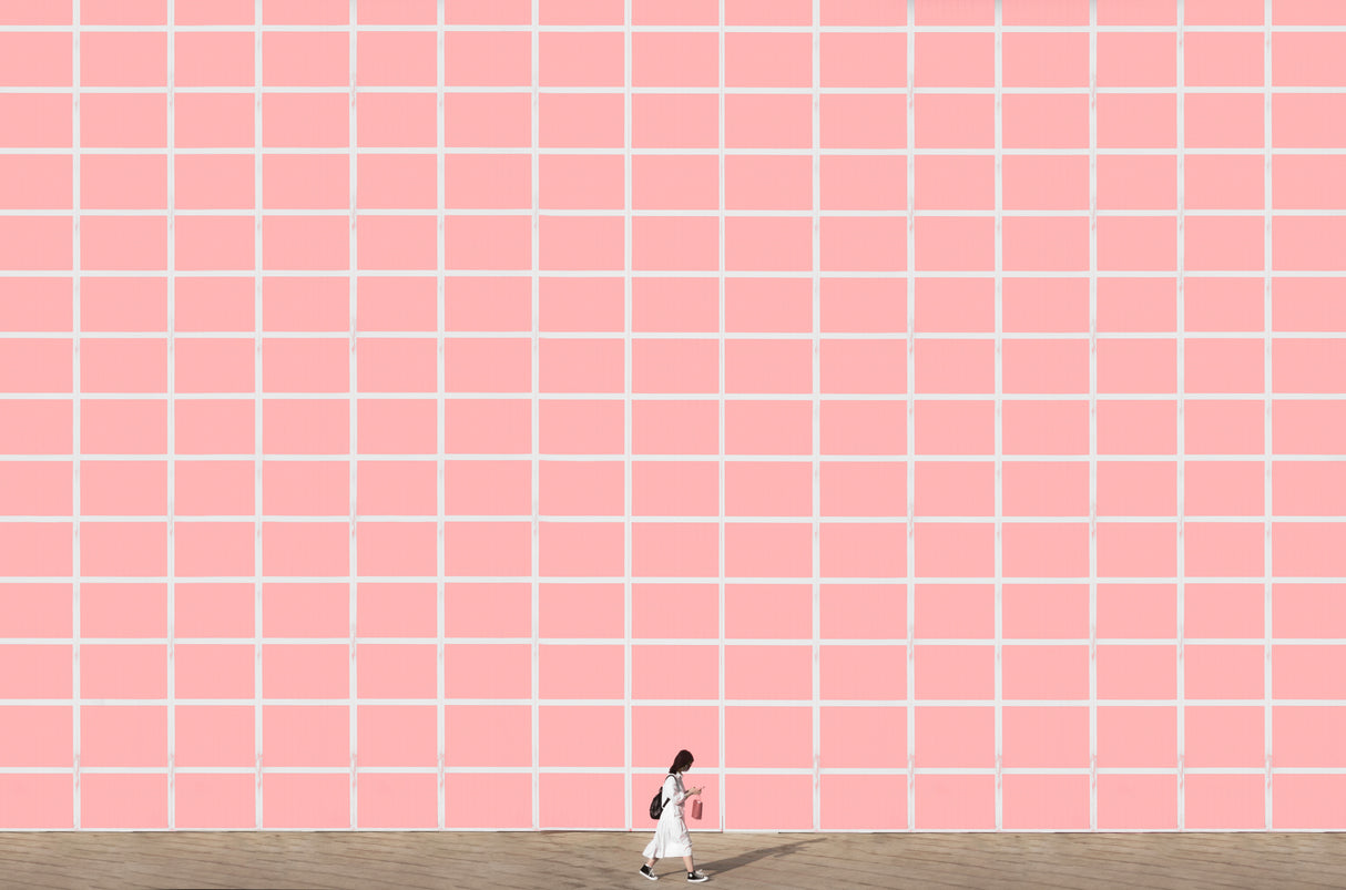 Walking through the pink Poster och Canvastavla