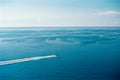 The Big Blue Poster och Canvastavla