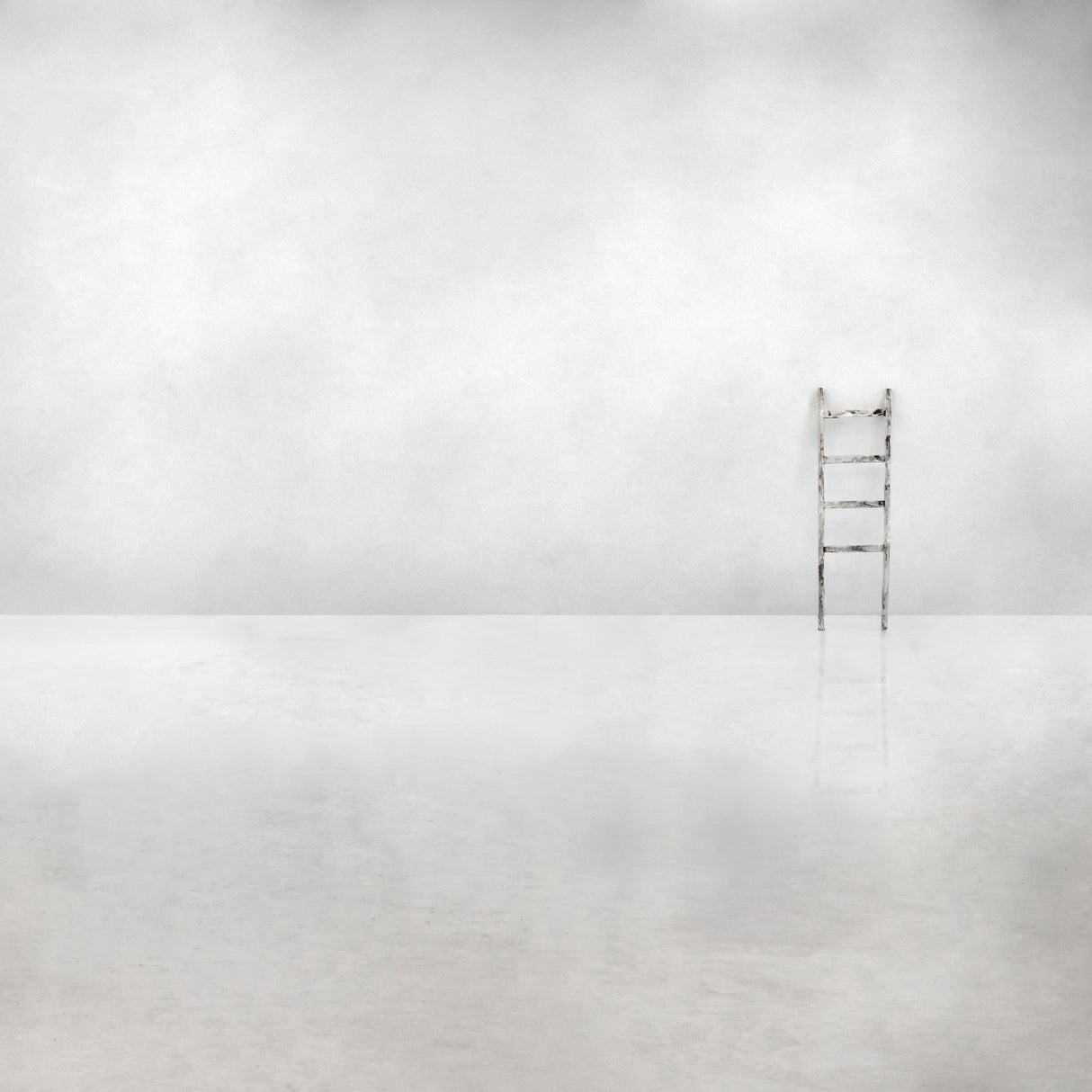 The social ladder Poster och Canvastavla
