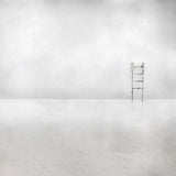 The social ladder Poster och Canvastavla