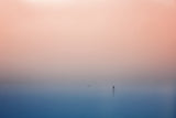 stand up paddling Poster och Canvastavla
