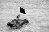 black flag Poster och Canvastavla