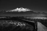 Road to Mountain Poster och Canvastavla