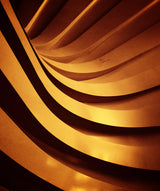 The Golden Patterns Poster och Canvastavla