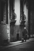 the old lady Poster och Canvastavla