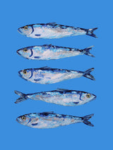 Sardines on Blue Poster och Canvastavla