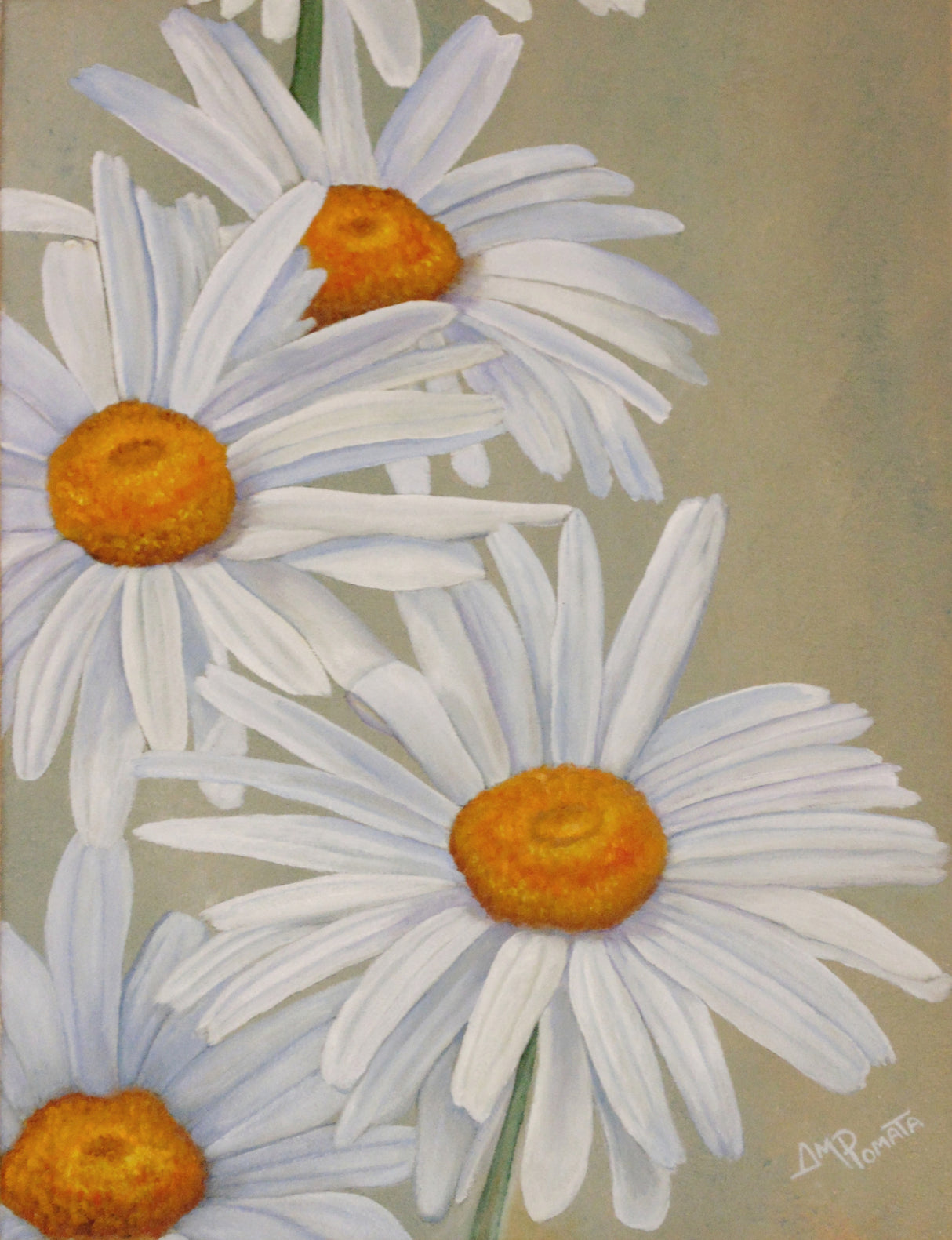 White Daisies Poster och Canvastavla
