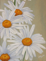 White Daisies Poster och Canvastavla