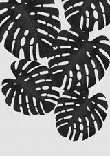 Monstera Leaf Black & White I Poster och Canvastavla