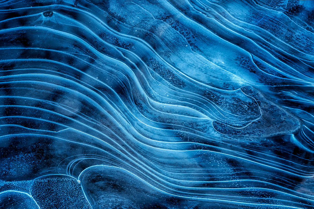 Frozen Curves Poster och Canvastavla