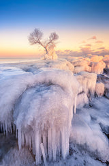 Winter wonderland Poster och Canvastavla