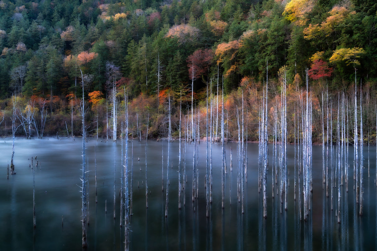 Natural Lake Autumn Poster och Canvastavla