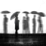 In The Rain Poster och Canvastavla