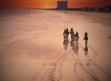 A Quiet Beach Evening Poster och Canvastavla
