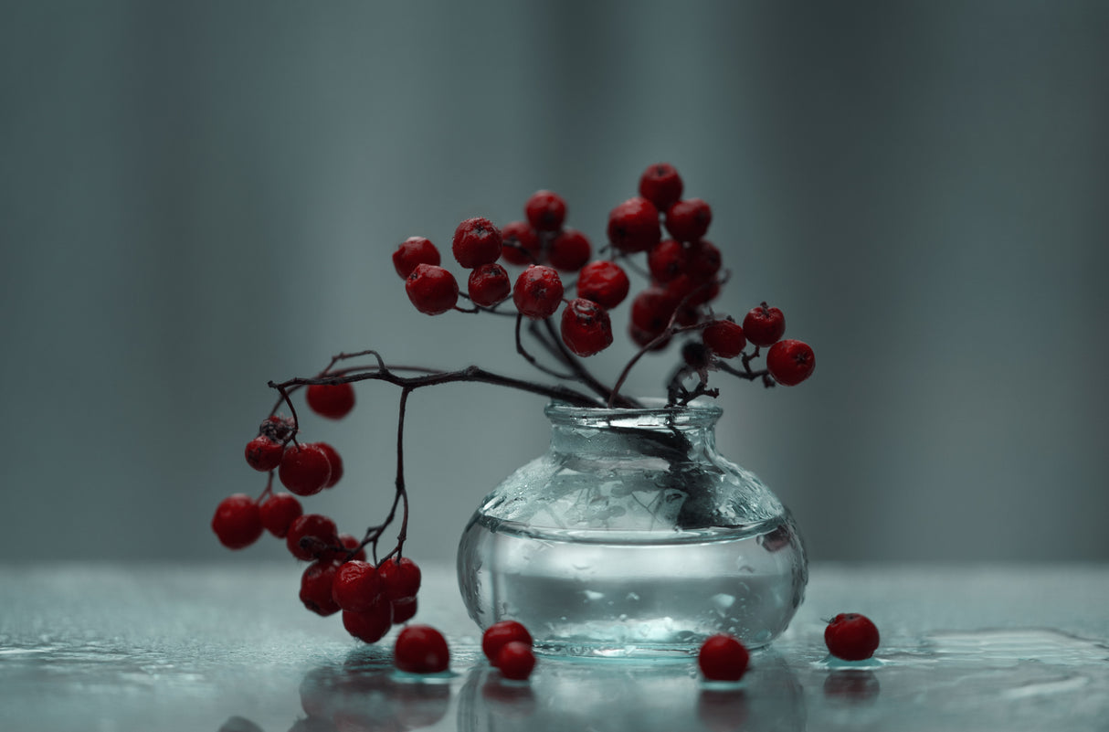 ...simply Red &amp; Wet Poster och Canvastavla