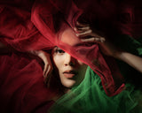 The Colors of Christmas Poster och Canvastavla