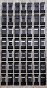 Stay at home Poster och Canvastavla