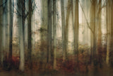 Autumn light Poster och Canvastavla